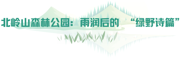 烟雨市北~不必赴江南，雨落此间即诗意