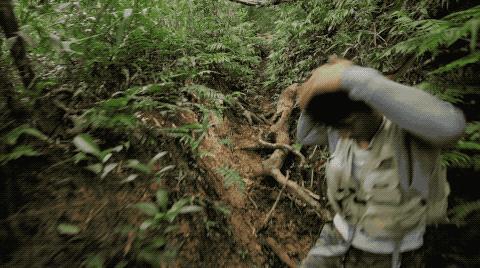 他初中毕业后终身不婚	，荒野舍命工作20年，被一群博士封神