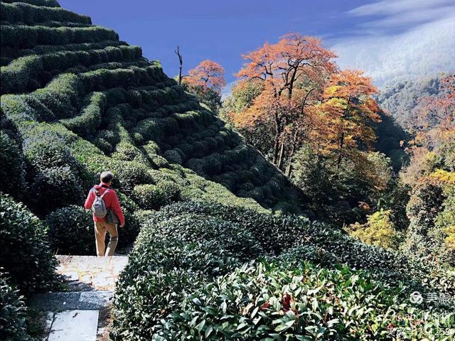 晚潮｜琅珰十里行，满目秋光尽染黄