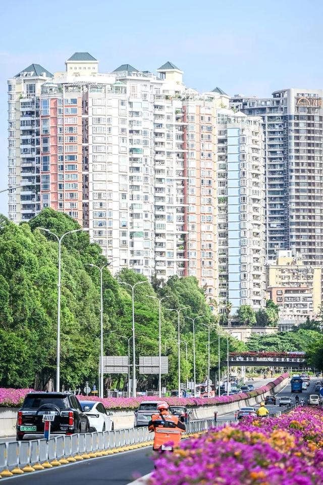 深圳知名景区紧急通知！