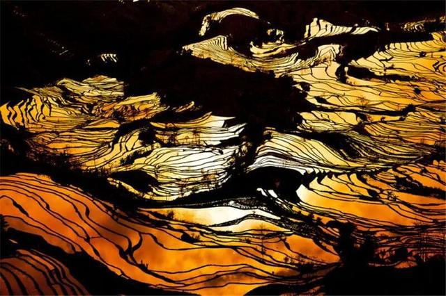 红河州庆专列来啦，上车，吃席去！