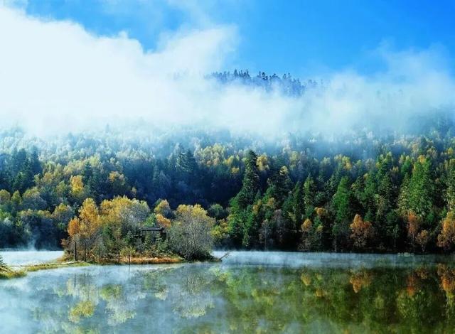 香格里拉国家公园候选区生态环境持续向好