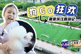 谢小优：狗GO狂欢！萌宠滨江趣游记图片