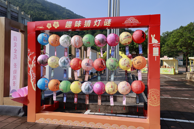 高能预警！现场直击丰顺绝美花墙、花路...