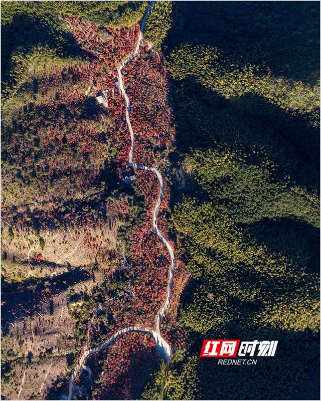 潘华摄影作品：漫步永州蓝山谷 邂逅湘江源头的层林尽染