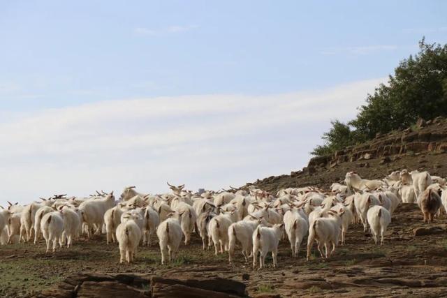 巴彦淖尔这座城，比你想象的更“宝藏”
