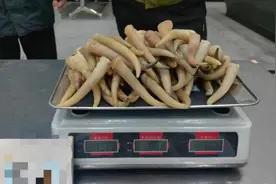 乌鲁木齐海关查获高鼻羚羊角65根 已移交霍尔果斯海关缉私分局进一步处理图片