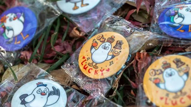 限定周边等你拿！青岛海鸥季打卡全攻略，超多玩法速看→