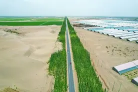 沙海披绿甲 荒漠掘金山——新疆持续巩固塔克拉玛干沙漠“锁边”成果图片