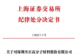 至正股份原实控人因违规担保被通报批评｜大鱼财经图片