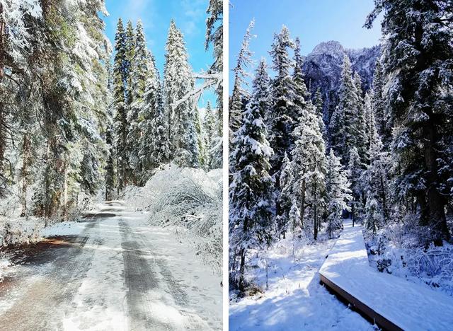 青睐绵阳 ‖ 彩林未尽,大雪已至!初冬的平武美成水墨画卷~