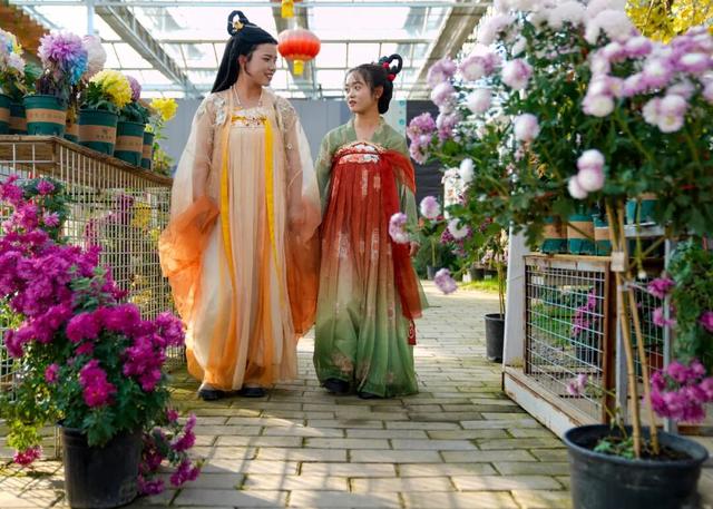 图说定西 | 深秋和菊花的浪漫邂逅