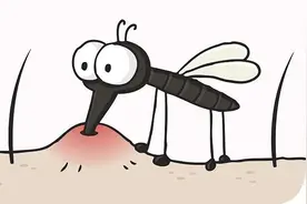 痒痒痒！为啥被蚊子叮的总是你？一篇文章教你有效防蚊→图片