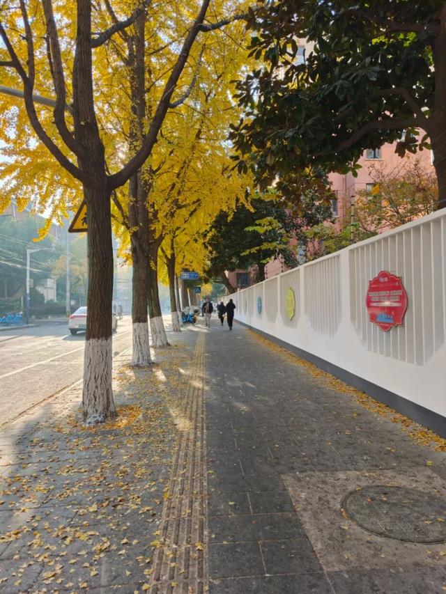 别错过，用Citywalk感受落叶的浪漫→