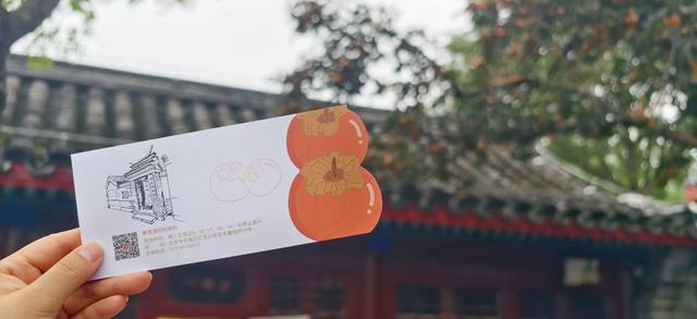 满树红彤彤，“丹柿小院”的柿子熟了