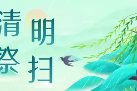 关于2025年清明祭扫，这场新闻发布会为您解答！图片