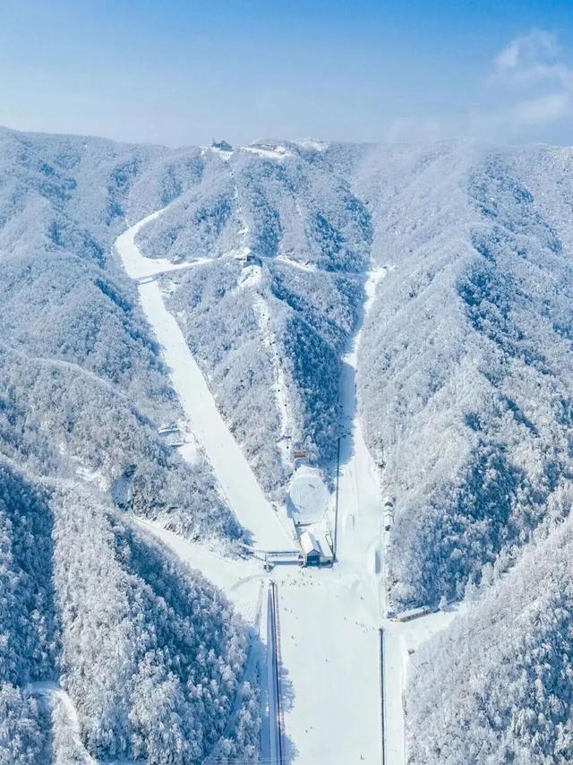 出色！洛阳这些最美场景等你解锁