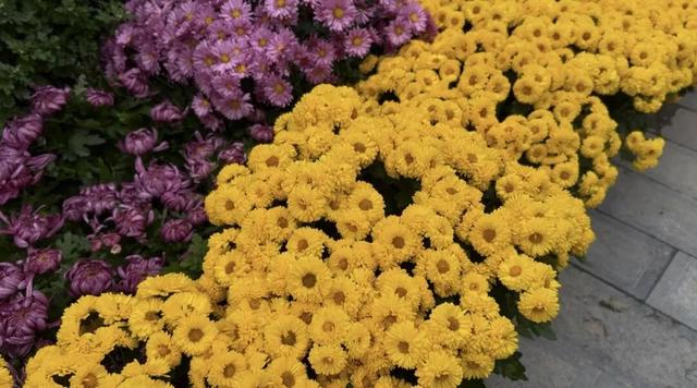 2025保康秋游季，邀您共赏山色如画