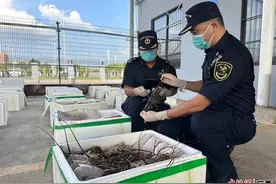 南宁海关关员假期坚守岗位一线 守护国门畅通安全图片
