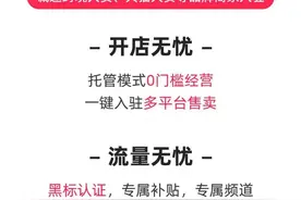 速卖通推出“百亿补贴品牌出海” 商家可以托管POP模式参与图片