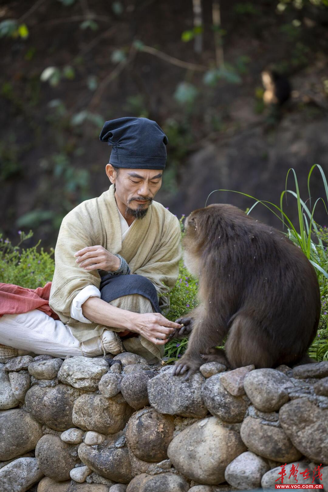 郴游日记新编③|溯溪涧清幽 穿林海千重