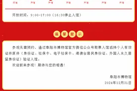 阜阳这“四大馆”元旦不放假图片