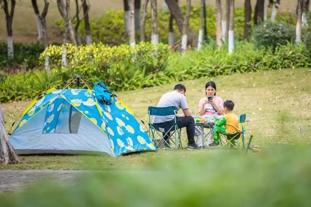 周末 ，宜回归自然！三水露营宝地推荐来了！