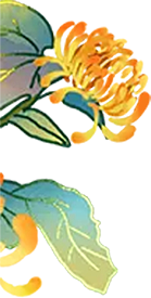 九九重阳，梨木台邀您共赴一场秋日敬老之约