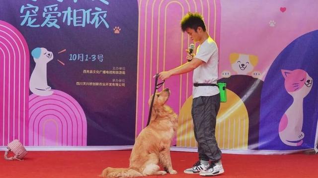 2026 跨年去西充！这场治愈之旅别错过～