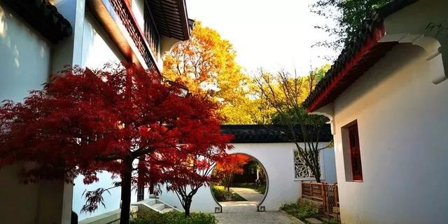 进博逛展意犹未尽？“上海之根”松江这3条主题线路，每款都藏惊喜～～～