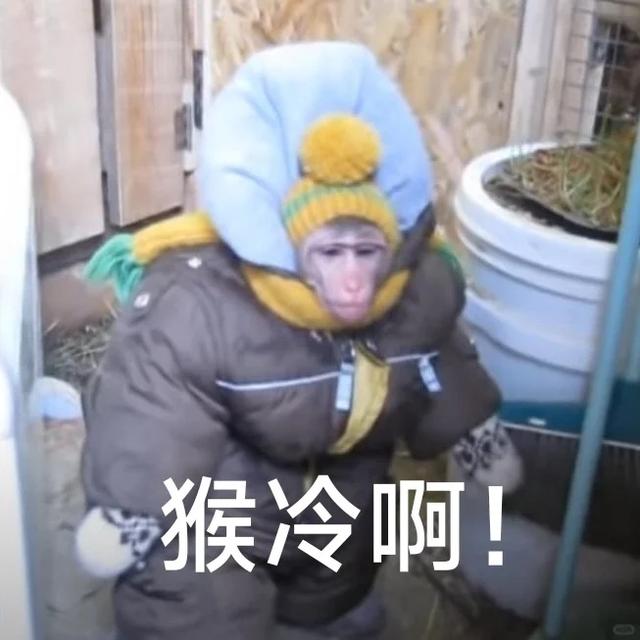 IP贵州，8月份已经盖起了羽绒被