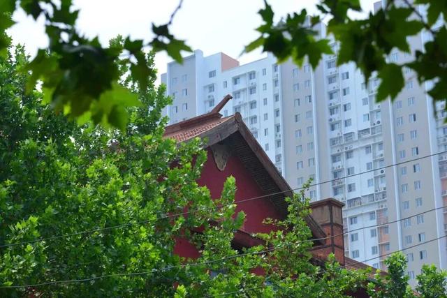 不愧是洛阳，连街名都是“细糠”！