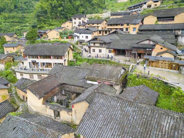 云和梯田生态修复带来经济活力：良田生美景 山乡奔共富