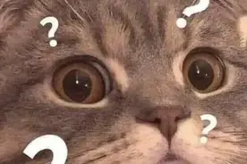 收到会员到期将自动扣费短信？小心是冒充客服诈骗图片