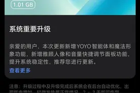 荣耀 Magic6 系列手机获 MagicOS 9.0.0.132 升级图片