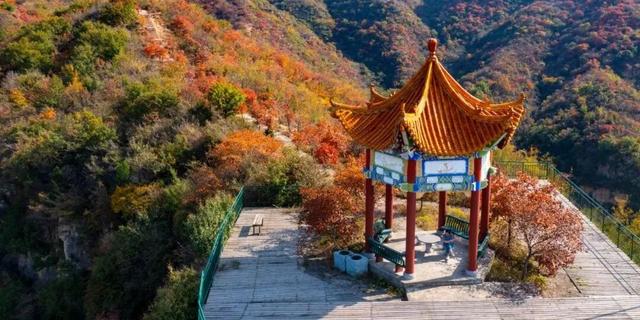 亮相央视！洛阳这些赏秋地，太美！