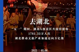 3.14亿人“五一”出游，你猜多少人上了黄鹤楼？图片