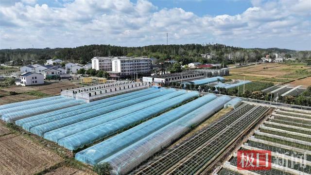 “草台班子”支棱起来了！随州这个曾经的“边缘村”，现在挤满了来打卡休闲的市民