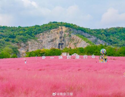 这样的浪漫花海，真的不来看看？