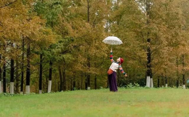 冬来秋未尽！秋天是赖上合肥了？