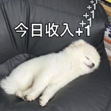 Claude Code出逃的主创又回来了，Anthropic：过去俩月我收入暴涨5.5倍，别走