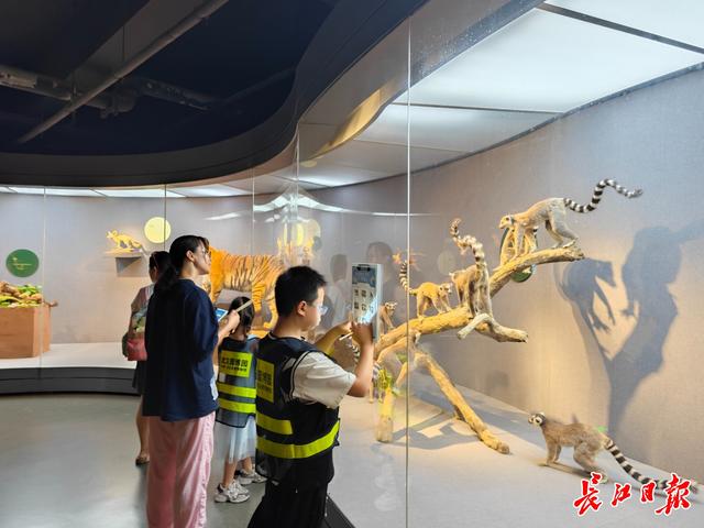从“水秀”爆满到夜赏长江，武汉凭“夜游IP矩阵”跻身暑期全国热门目的地