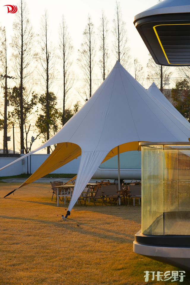 打卡乡野丨新年第一站，去上海离宇宙最近的村子，仰望星空，脚踏田野，开启元气新年