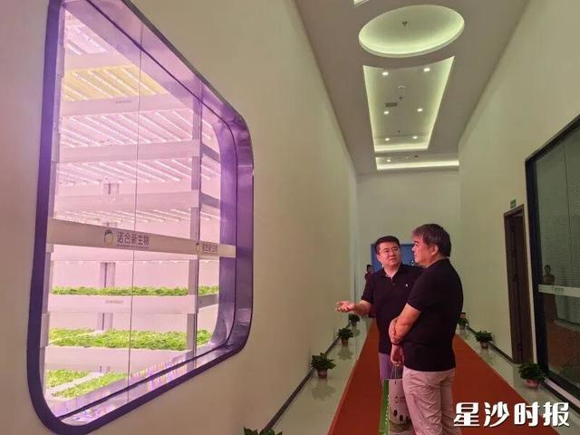 总投资1亿元！星沙这一重点项目即将投产