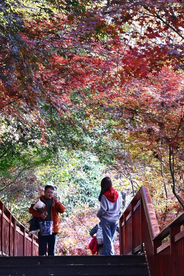中大路 “红” 了！本周 C 位遛弯地预定！