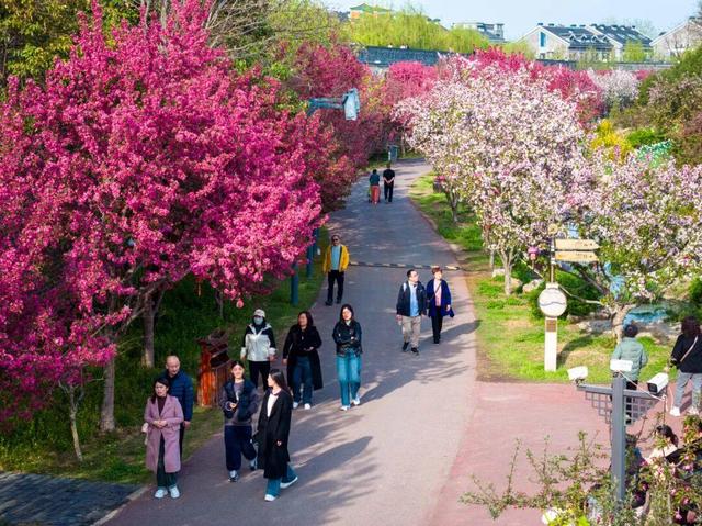 巨划算！冬游台儿庄古城，这份“买一送一”的跨年旅行攻略请收好