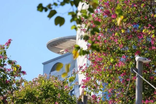 WOW，柳州超多赏秋打卡地，随手出大片！