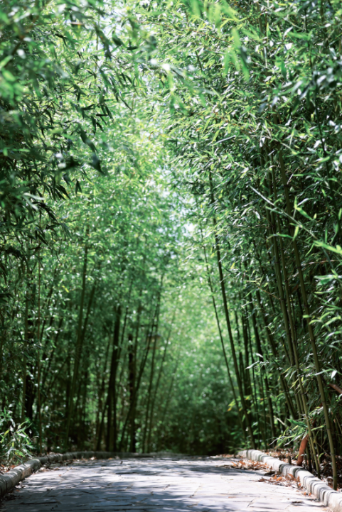 这个藏在万安山的小众秘境，你去过吗？