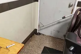 杭州女子在家听到“敲门声”，开门后瞬间崩溃......图片