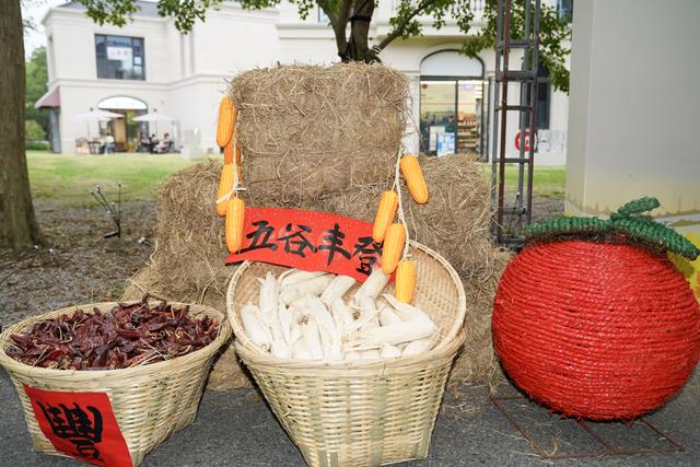 “农民丰收节 金山嘉年华”来了！20+活动嗨玩8天，魔都后花园等你打卡